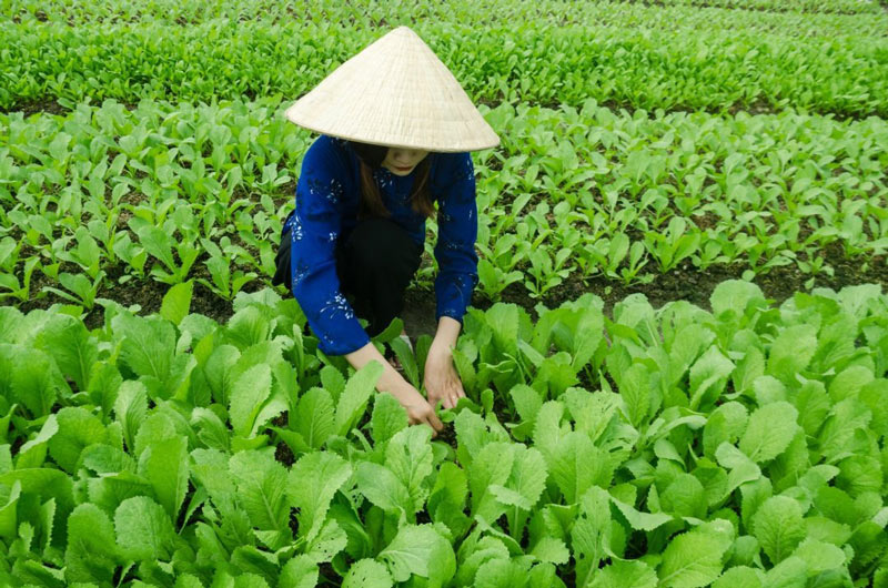 農(nóng)業(yè)氣象站安裝與維護(hù)需要注意6個(gè)地方 農(nóng)業(yè)氣象站安裝與維護(hù)需要注意6個(gè)地方