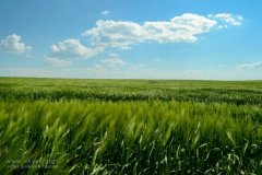 農業(yè)大數據