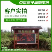 去公園吸氧，看看負氧離子在線監測儀！